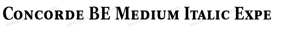 Concorde BE Medium Italic Expert字体转换